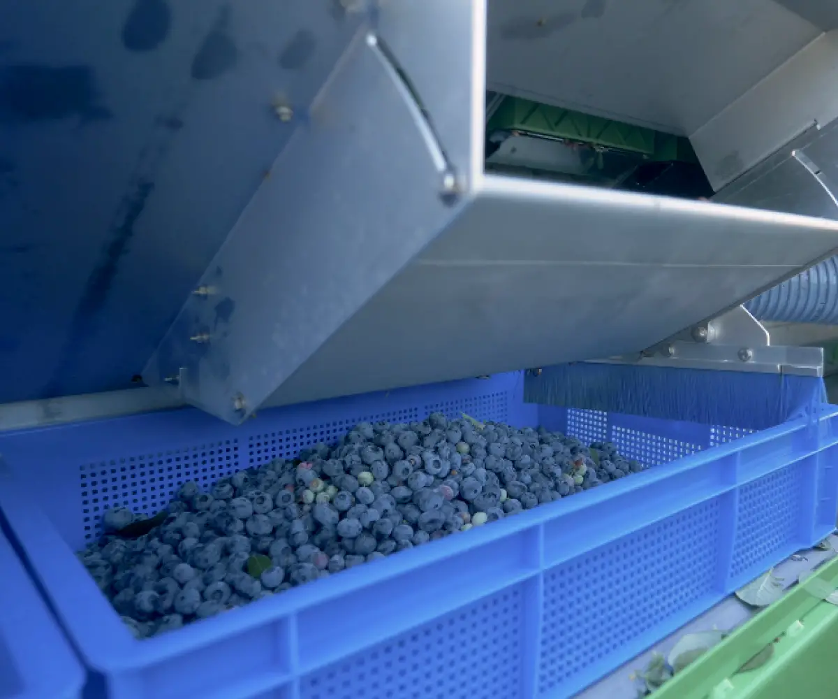 Maximize<br>Capacity & Yield
