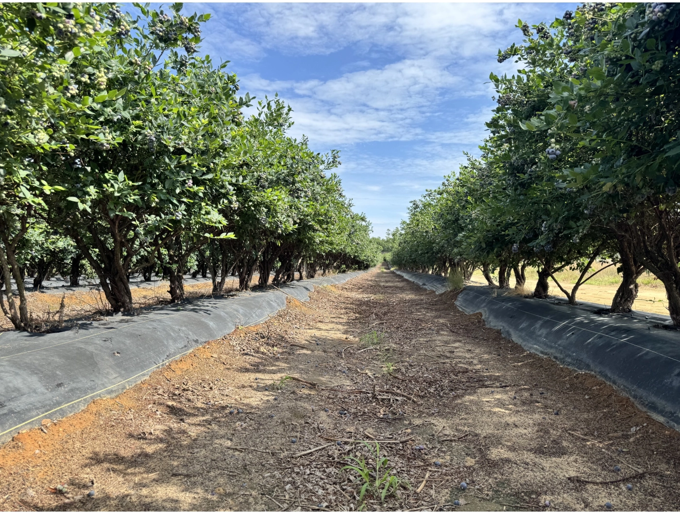 Soil Stability & Field Topography Soil Stability & Field Topography