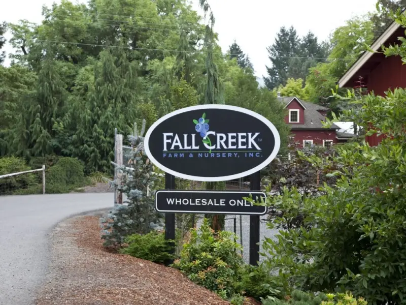 Fall Creek Invests in Fine Field to Advance Mechanical Blueberry Harvesting