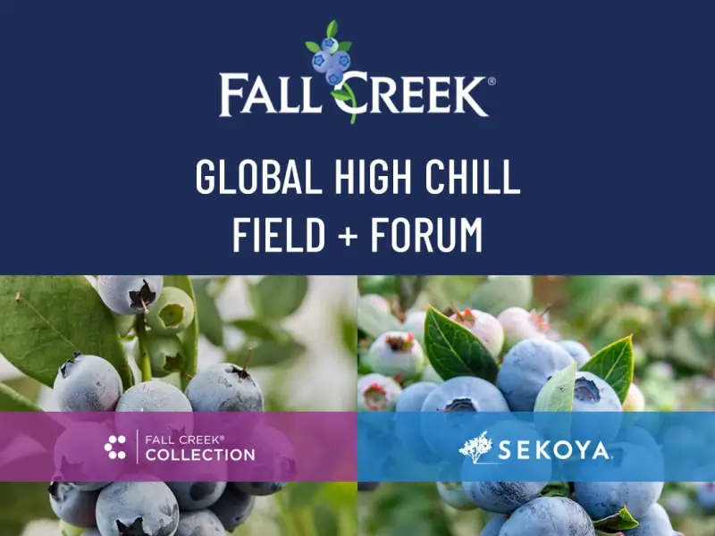 Fall Creek 2026 Global High Chill Field + Forum